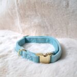 velvet halsband blauw
